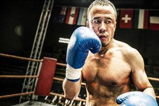 吃瓜娱乐拳击视频,吃瓜娱乐拳击视频大盘点